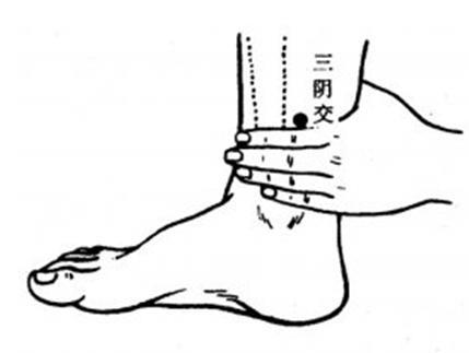 201507281045013947.jpg 201507281045013947.jpg